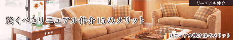 �����ׂ����j���A������15�̃����b�g